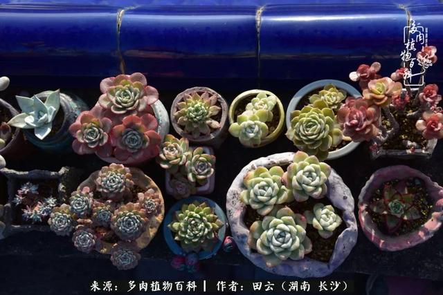 影片剧照