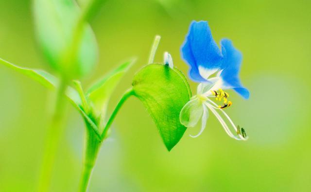 浅秋 薄念 花不语 风却懂 Zh中文网