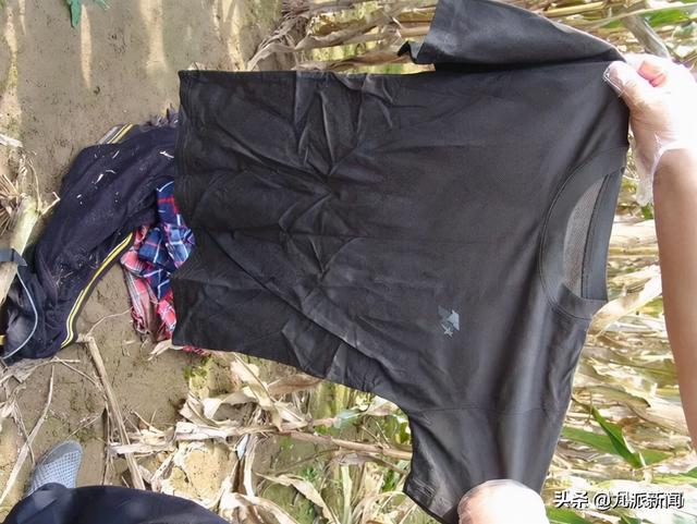 河北献县村民在玉米地发现男尸，警方：尸体已白骨化，线索征集中
