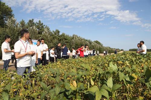 今年种大豆，避免大豆发生药害，防止和补救措施要早知道6