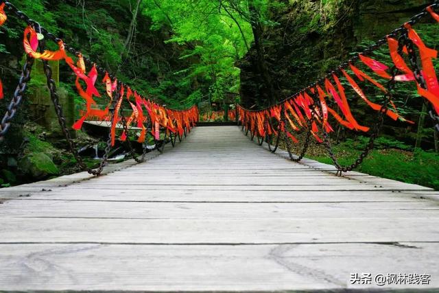 這個七夕唯愛永恒，到遼寧楓林谷山林間感受山河浪漫