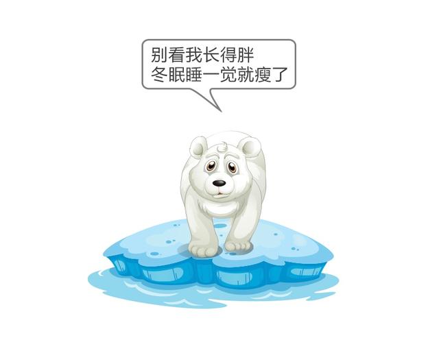 北极熊吃什么