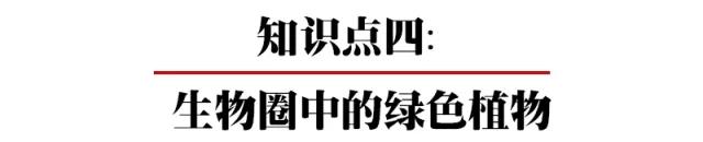 初中各科思维导图全汇总（语文、数学、地理、历史、化学、生物）