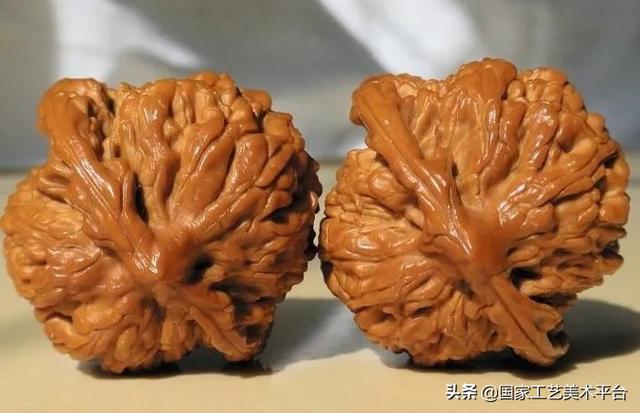 文玩核桃树