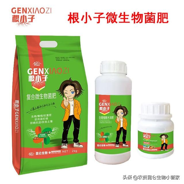 花生烂根病的防治方法有什么？花生根腐病防治用哪个肥？5