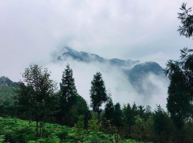乐山石子洗砂机厂家