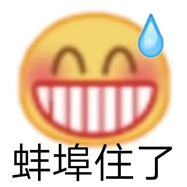 树袋熊介绍