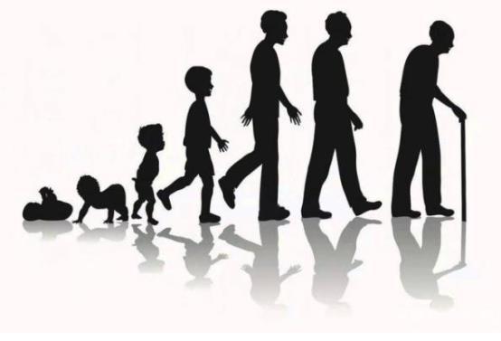 IT大佬们纷纷投资研制长生不老药 他们都疯了吗？