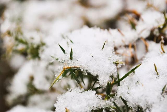 立冬 | 最冷的冬天，提前开启「冬藏」，才能避免阳气外泄