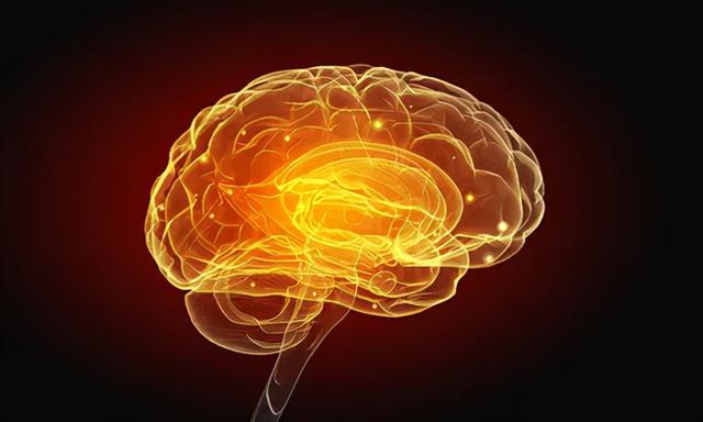 吃花生，变聪明​？​研究发现，花生可能有助于改善记忆功能