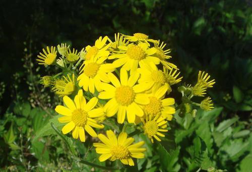 得了胃病，必须忌口吗？想要养胃护胃，5个“坏习惯”尽快改正