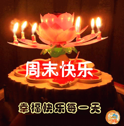 周末愉快高情商回复（周末高情商的问候）