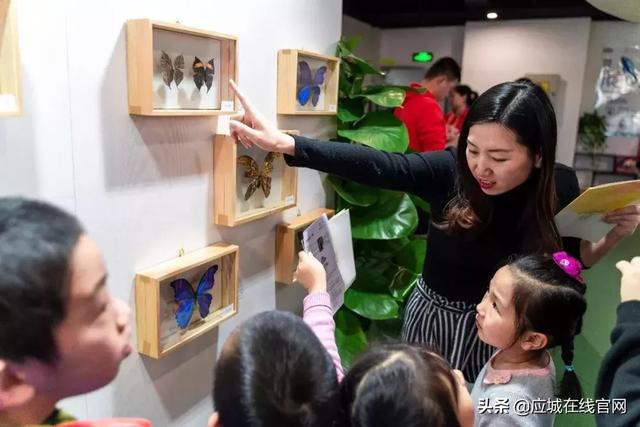 应城机械展