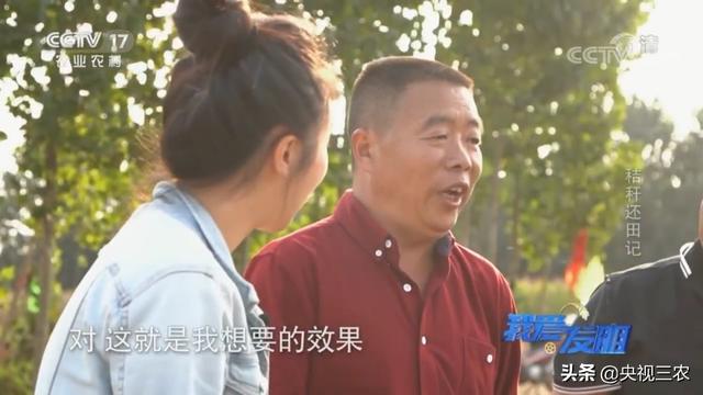 秸秆破碎机效果