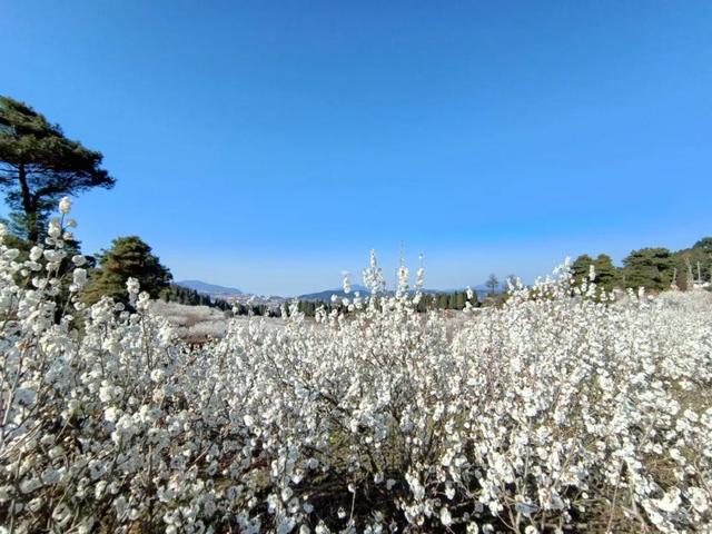 个旧大型制砂机厂家