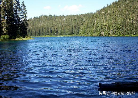 心脾两虚难自立，老中医辩证施治，方知心和脾对宗筋自立有多重要