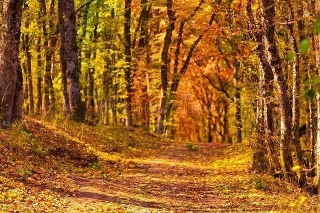 联想问题是大是小？