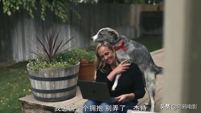 罗德西亚脊背犬