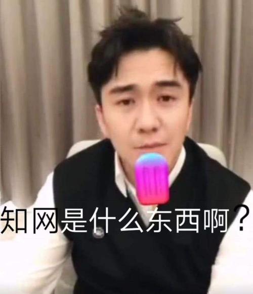 张雪迎个人资料简介(张雪迎个人资料简介写真)