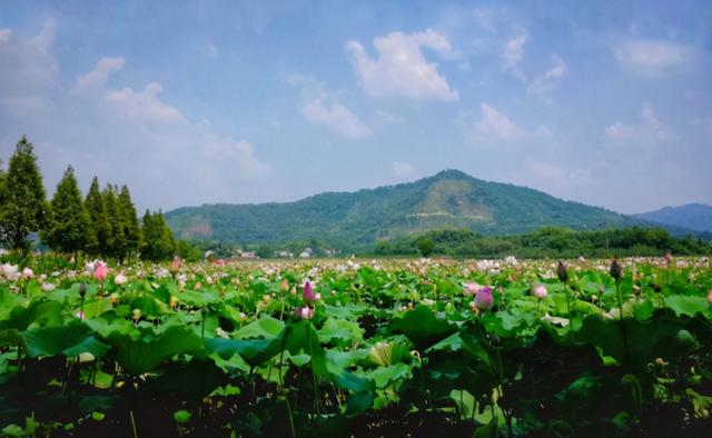 藏在安徽的“免费”景区，离黄山很近，温度不