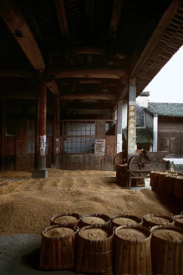 随手拍怎么赚钱,在哪下载随手拍（随手拍怎么赚钱的）