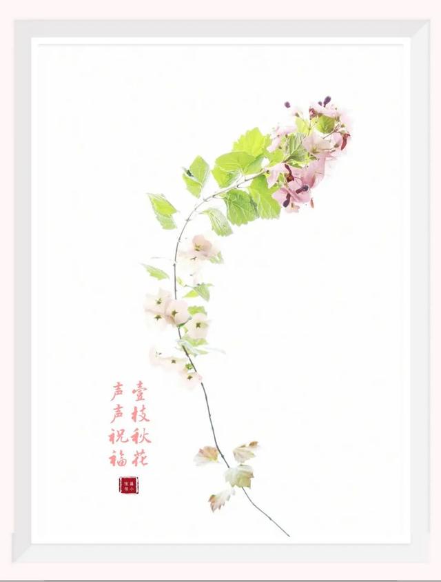 20个技巧，助您手机拍大片！（影展点评第459期）