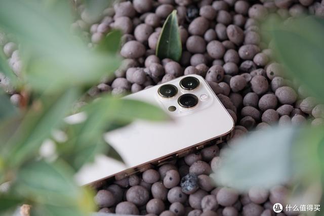我为什么从iPhone 13 Pro换成了iPhone 13-第5张图片-9158手机教程网