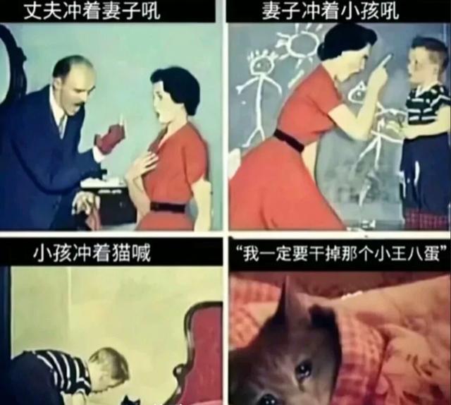 如何照顾好宝宝？分享几个照顾宝宝的正确方式，一起来涨知识