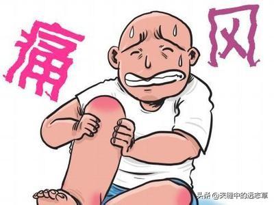 痛风，关节红、肿、热、痛？两味中药，清热燥湿，一味升，一味降