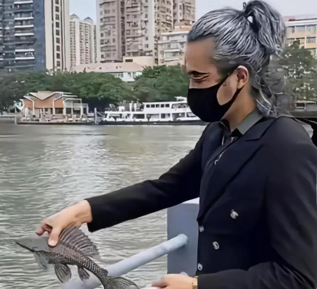 清道夫鱼