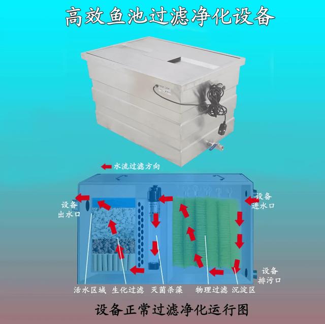 怎么选鱼池过滤机