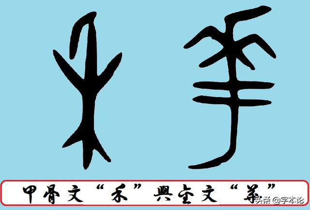 "禾""华"甲骨文字形体及"亳"字甲骨文金文形体如下:而"宅"字作为祭名