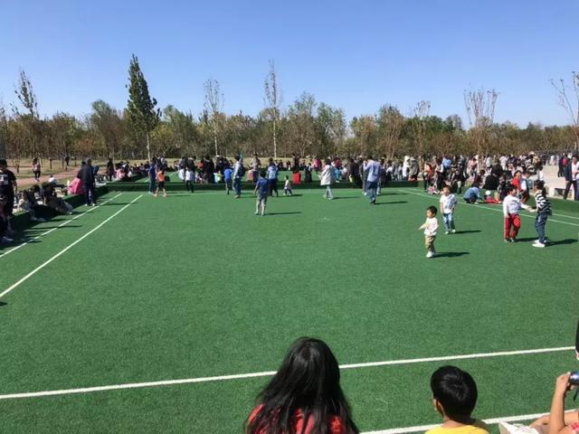 保山干式洗砂机哪里有