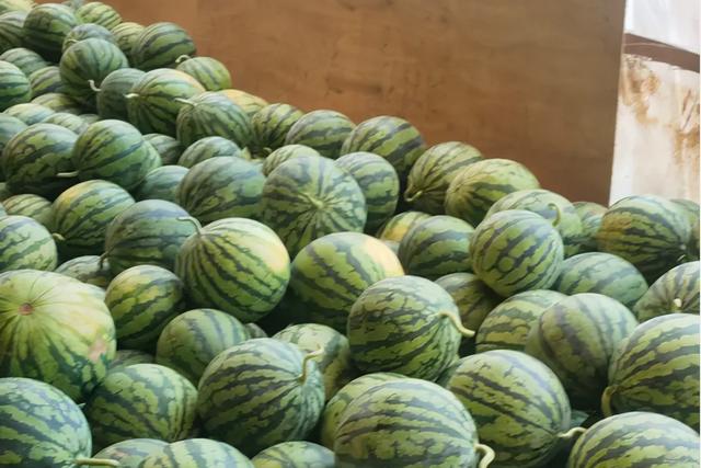 2100万亩西瓜“鱼游沸鼎”，价格跌至1.2元/斤，今年西瓜也栽了？