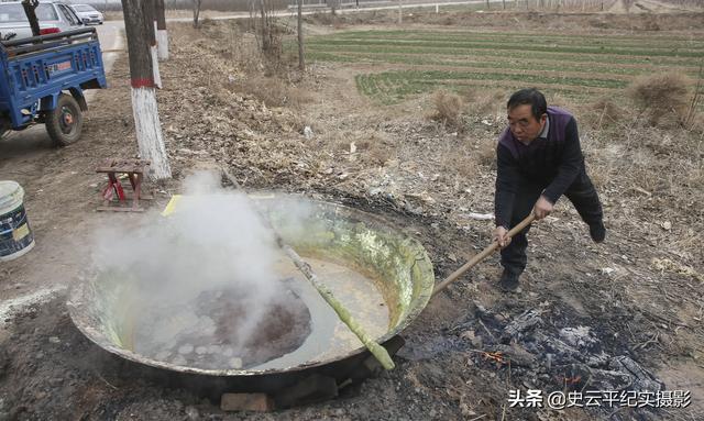 农民用石灰和硫磺熬制一种农药，专杀桃树上的白蚧虫，看看啥情况2