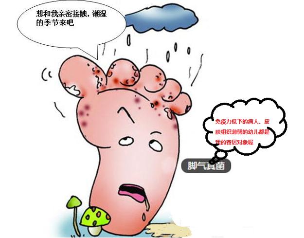 角化型足癣症状图片