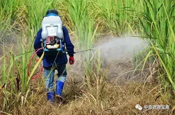 绝招！决胜百草枯！草甘膦这样配除草效果创新高！