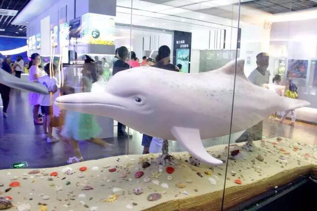 深圳机械展展馆