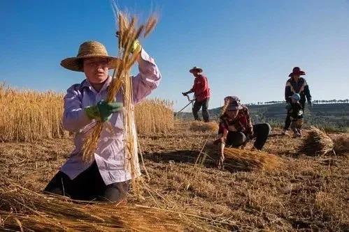 创业如追女人，要成功须用正确的方法