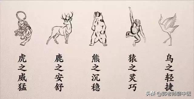 养生气功五禽戏教学（仙家秘传五禽戏：健康长寿）