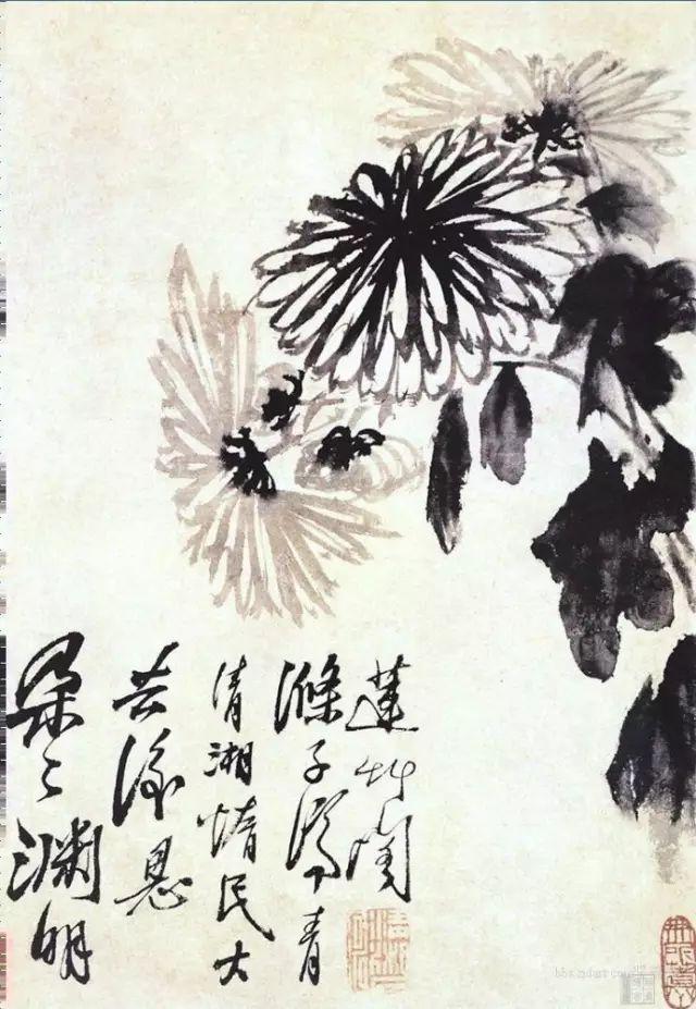 花中四君子指的是