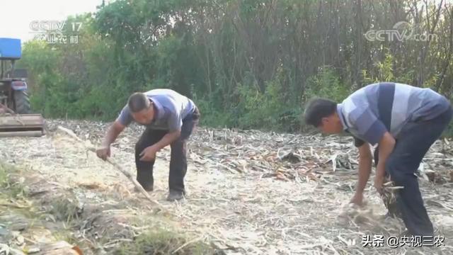 在家如何做个小型的破碎机