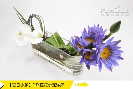 怎么学插花