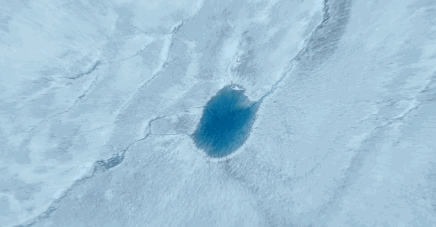 16部超赞自然纪录片，让孩子足不出户看到地球的“真实面目”！