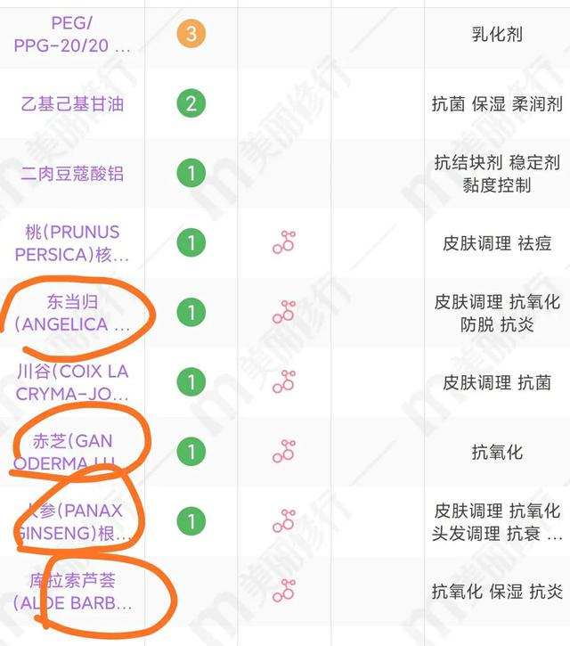 东当归