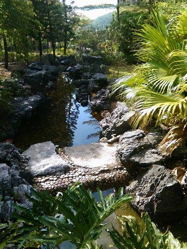 三衢道中古诗意思全解（多角度解读古诗三衢道中的诗意）