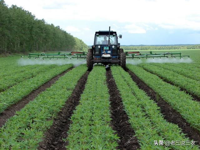 只要一把洗衣粉！小麦、大豆、番茄治病治虫真管用，南北方都适用12