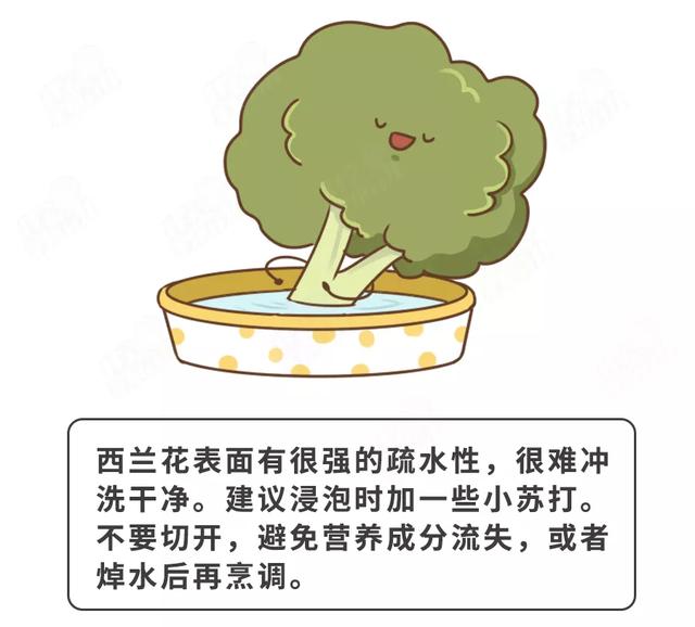 秋季给娃吃啥好？营养师发话了：4种蔬菜+1种肉，必吃