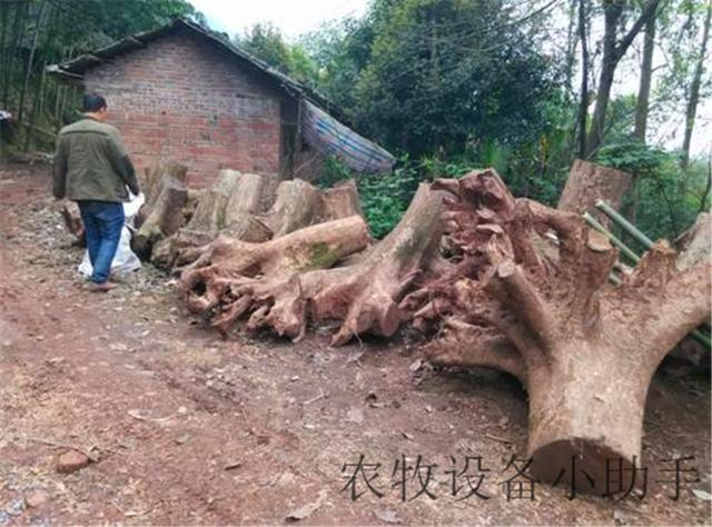 树墩的破碎机视频的简单介绍