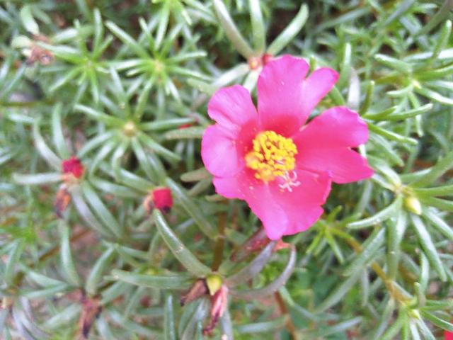 老年人睡眠，有个好习惯，对身体健康有好处